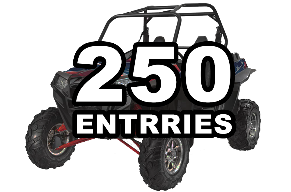 250 Entries - Rebel RZR Contest